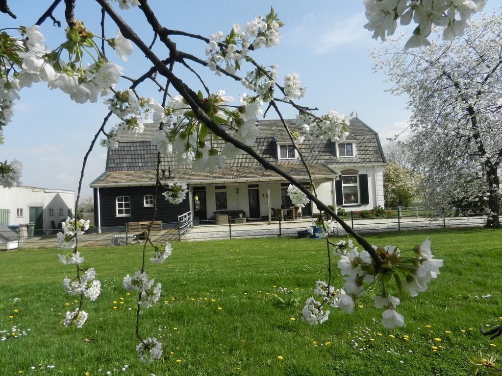 B&B De Bloesemgaard Eck en Wiel Exterior photo